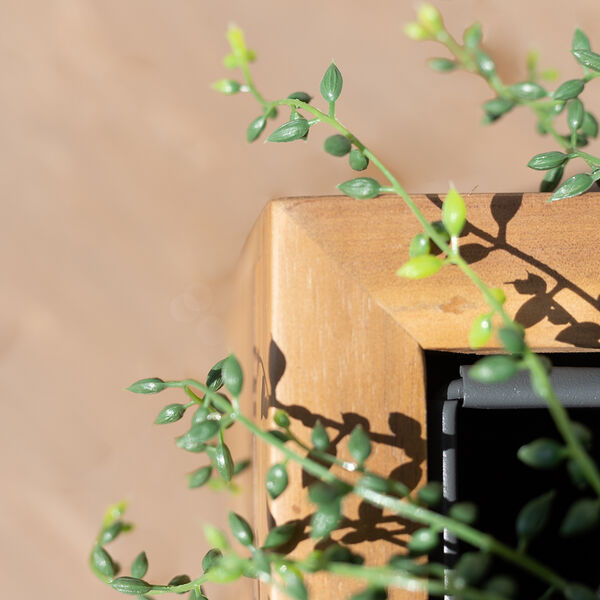Maze - Bali Small Planter with Metal Liner - Acacia Wood product image