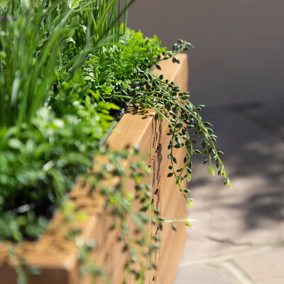 Maze - Bali Small Planter with Metal Liner - Acacia Wood product image