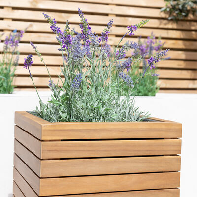 Maze - Bali Medium Planter with Metal Liner - Acacia Wood product image