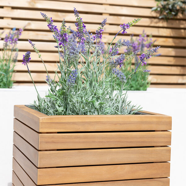 Maze - Bali Medium Planter with Metal Liner - Acacia Wood product image