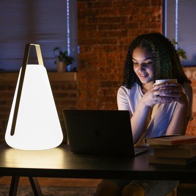 Extreme Lounging - Small B Bulb product image