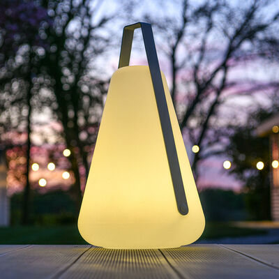 Extreme Lounging - Large B Bulb product image